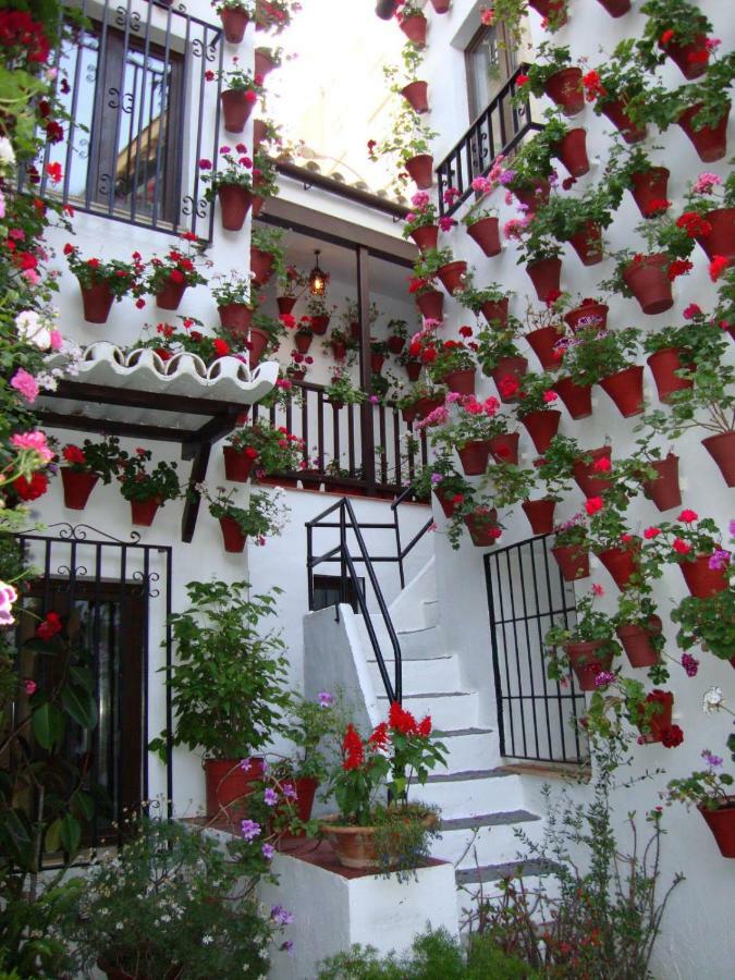 Apartmán El Balcon De La Juderia Córdoba Exteriér fotografie
